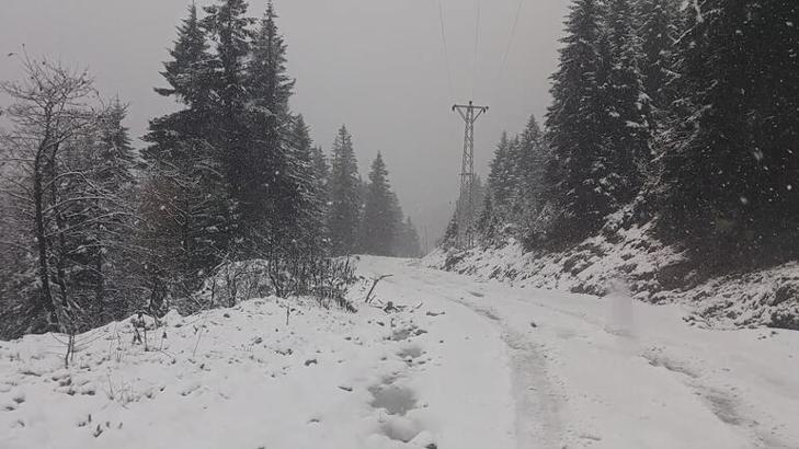 Kar yağışı birden bastırdı, her yer beyaza büründü