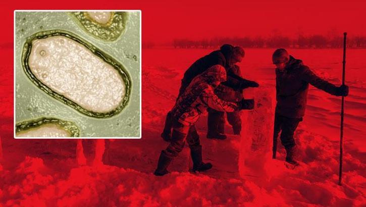 50 bin yıldır uyuyan 'zombi virüs' uyandı! İnsanlık büyük tehlikede