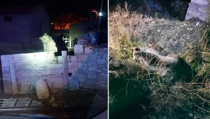 3 gün önce Yozgat'ta görülmüştü! Bu defa Nevşehir'de ortaya çıktı