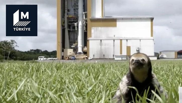 JUICE Jüpiter misyonunun yıldızı, tembel hayvan Jerry