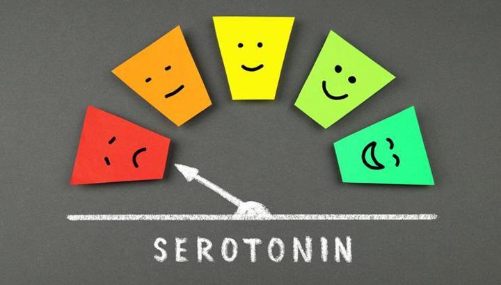Serotonin içeren besinler nelerdir? En çok serotonin hangi gıdalarda var?
