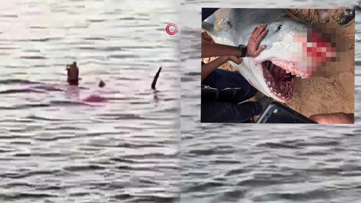 Mısır'da köpek balığı dehşeti! Rus turist feci şekilde can verdi