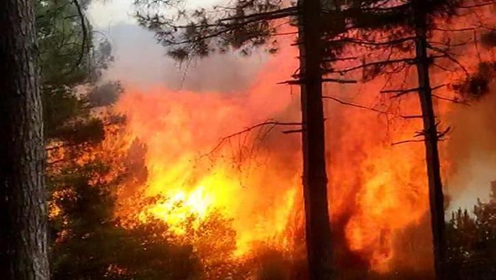 Sultangazi Kent Ormanı'nda yangın