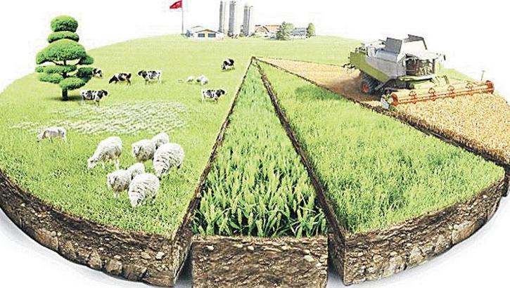 ‘Girdi’ fiyatlarında ekimde artış yaşandı
