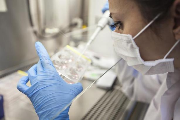 Tüp bebek tedavisinde sağlıklı embriyo seçimi nasıl yapılıyor?