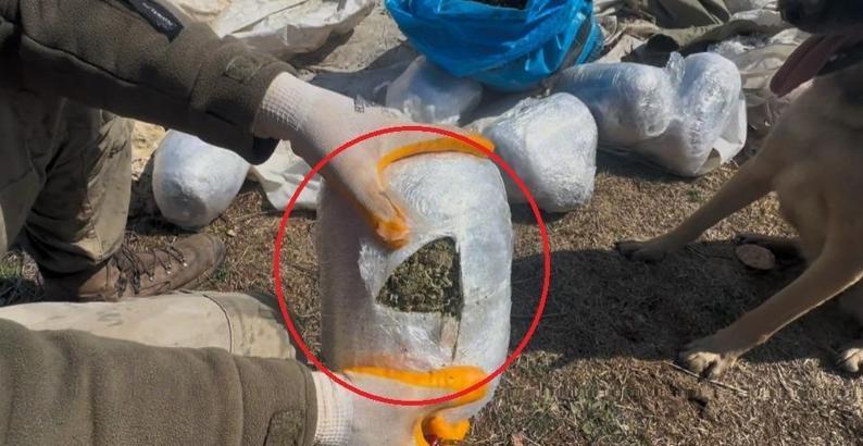 Diyarbakır’da 116 kilo esrar ele geçirildi; 7 gözaltı