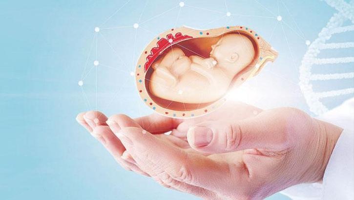 Tüp bebek tedavisi devletten
