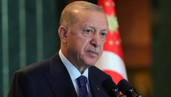 Cumhurbaşkanı Erdoğan, Romanya Cumhurbaşkanı ile görüştü