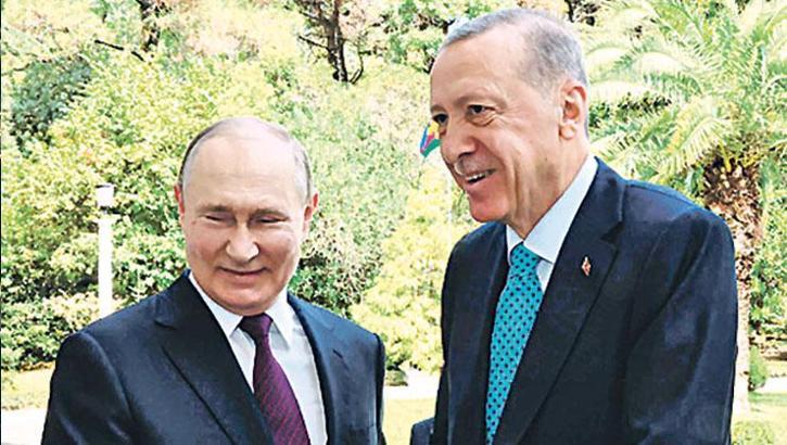 Diplomaside yaz trafiği