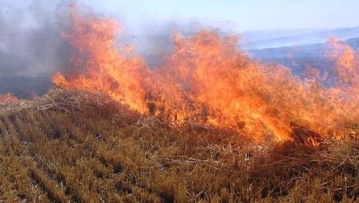 Anız yangını felaketinin boyutu gün ağarınca ortaya çıktı! Ölü sayısı 11'e yükseldi