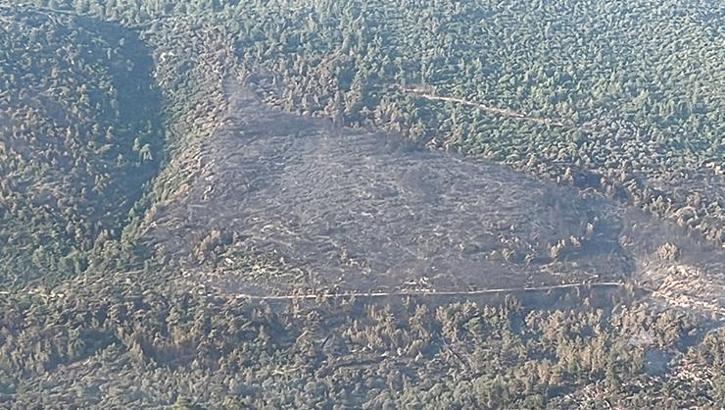 Bodrum'daki orman yangını 18 saat sonra kontrol altında