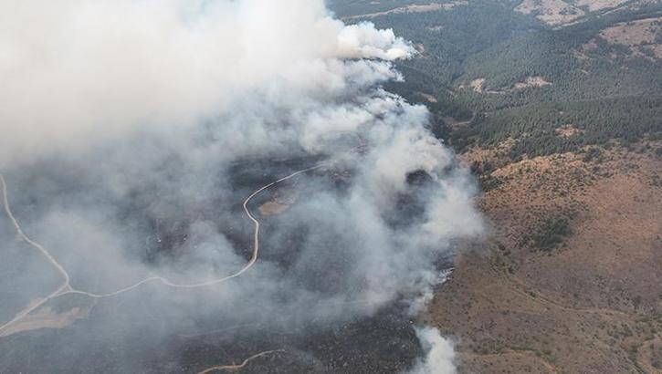 BOLU’DA YANGIN SON DAKİKA! Bolu yangını söndürüldü mü, kontrol altına alındı mı? Bolu yangını nerede, başlama sebebi ne?