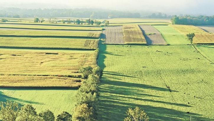 İşlenmeyen arazi sezonluk kiralanacak