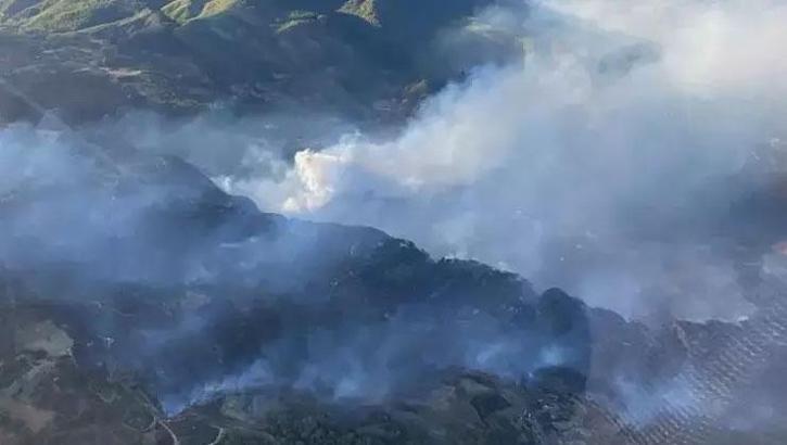Muğla’da 3 ilçede orman yangını! Havadan ve karadan müdahale ediliyor