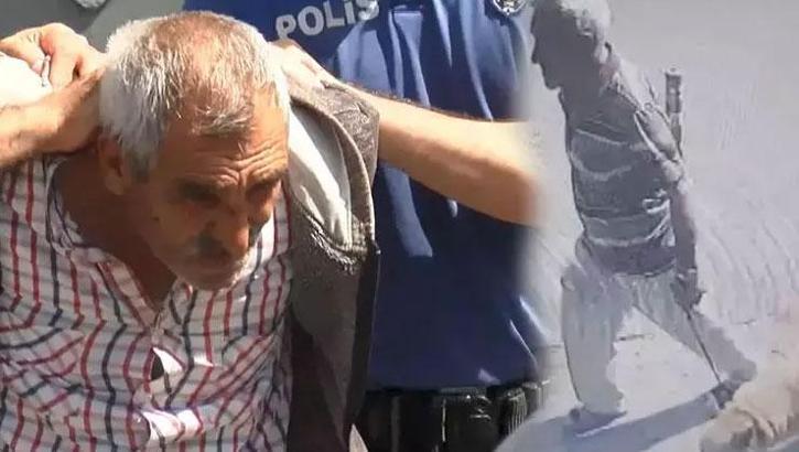 Bakırköy'de köpeğe istismar davasında karar!