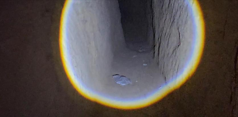 Tarihi eser kaçakçılığına suçüstü