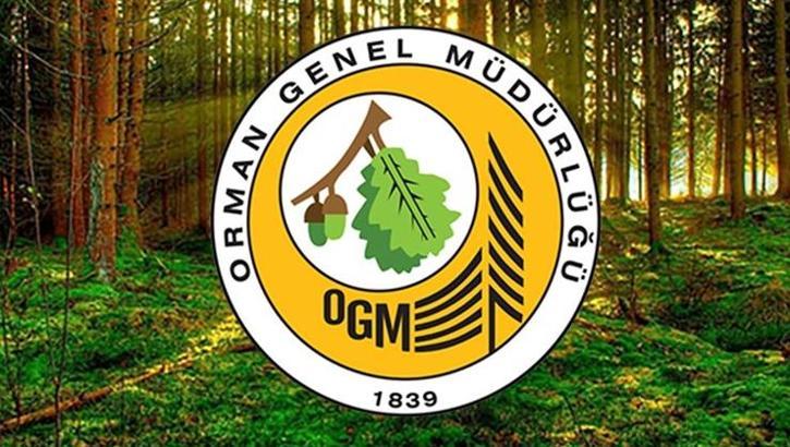 OGM İŞÇİ ALIMI BAŞVURUSU 2025: Orman Genel Müdürlüğü 4500 işçi alımı başvurusu nereden, nasıl yapılır? OGM işçi alımı başvuru şartları