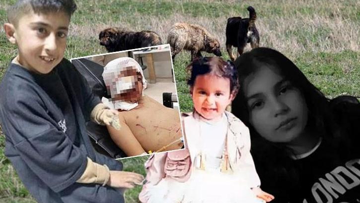 Hakkari'de Eslem, Konya'da Rana, şimdi de Murat yaşam savaşı veriyor! Bakanlık harekete geçti