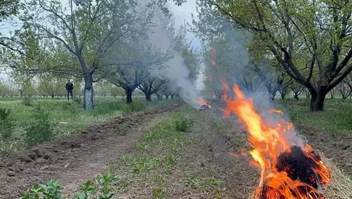 Zirai dona karşı 'bahçede ateş' önlemi
