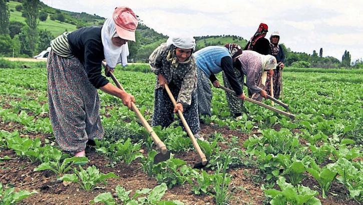 Emek yoğun sektörler tehlikede