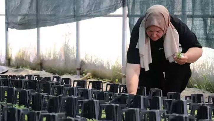 51 yaşında yüksek okulu birincilikle bitirdi! Ata tohumundan yetiştiriyor