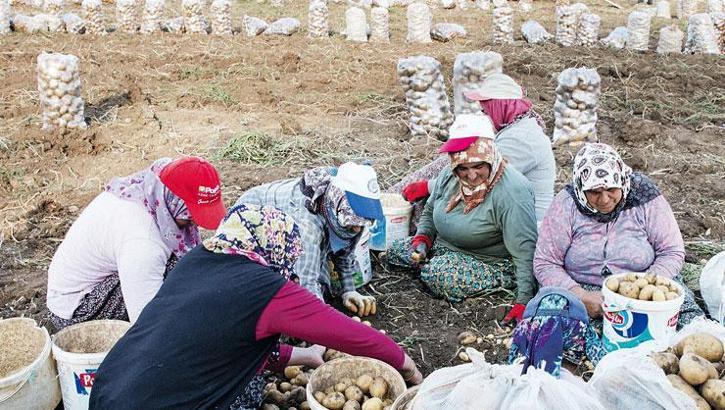 Tarımda rekorun adı onlar