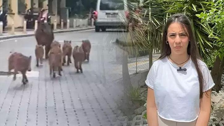 Marmaris'te büyük korku! Şehir karantinaya alınabilir, giriş çıkışlar kapatılabilir!