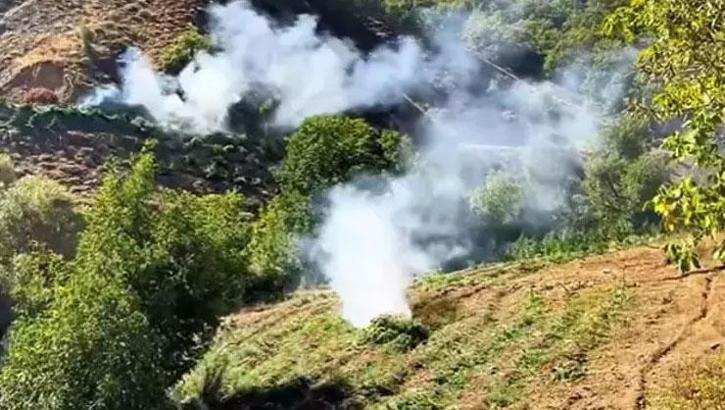 Diyarbakır'da 7 milyon 543 bin kök kenevir ve skunk ele geçirildi