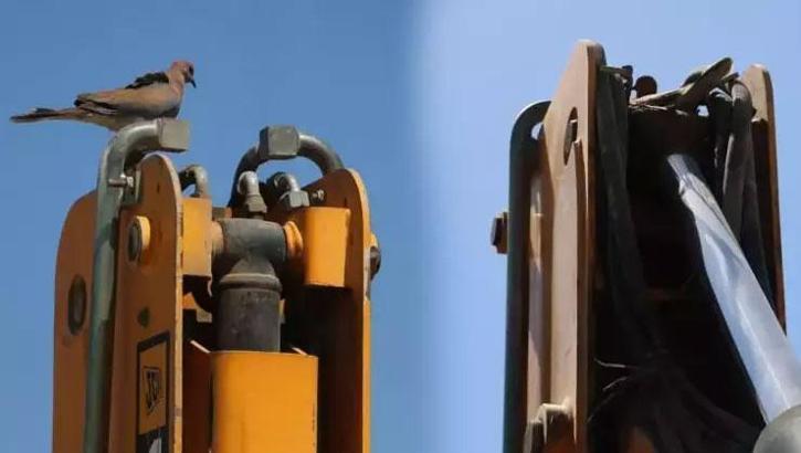 150 bin TL zararı göze aldı, kepçesini 17 gündür çalıştırmıyor! Sebebi şoke etti