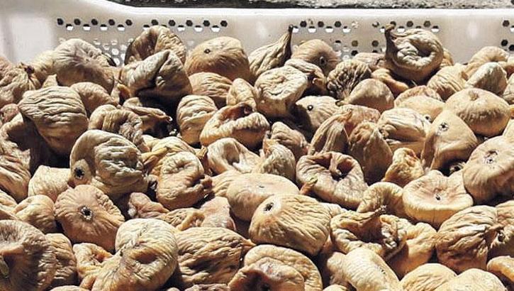 İhracatçılar aflatoksinli inciri enerjiye dönüştürdü