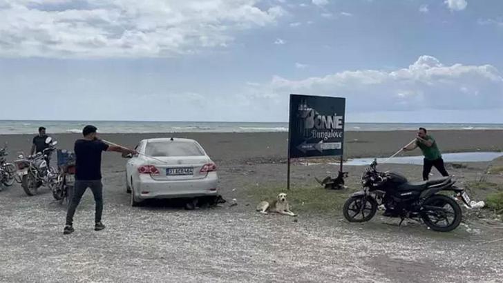4 mahalle için kuduz karantinası kararı