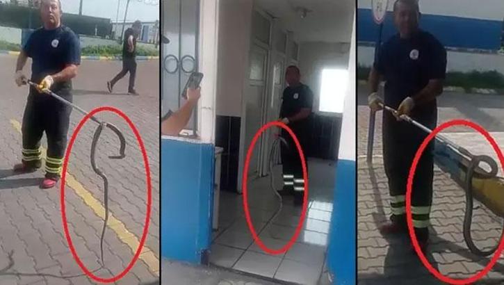 Hatay'da bir fabrikaya metrelerce uzunluktaki yılan girdi!