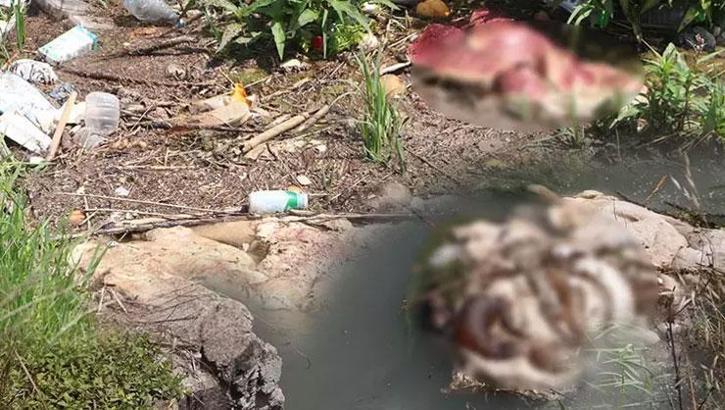 Kurban derileri sulama kanalında yüzüyor! 'Çıplak ayakla gezmeyin' uyarısı