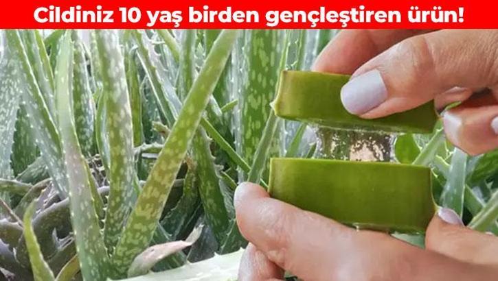 Yüzde 100 doğal nemlendirici! Güneş yanıklarının kökünü kazıyor: Kırışıklık oluşumunu yavaşlatıyor, resmen doğal kalkan