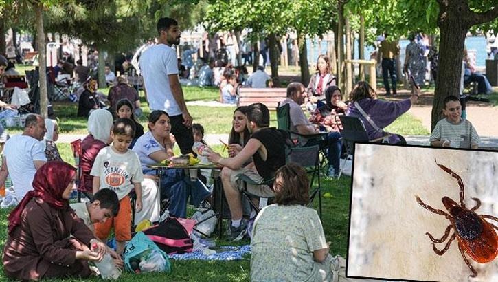 Havalar ısındı, vaka sayıları pik yaptı! Sivas, Tokat ve Erzurum'da görülüyor: Öküz gözü şeklindeki kızarıklığa dikkat