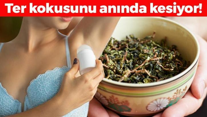 Ter kokusunu bıçak gibi kesiyor! En doğal çözüm: 5 dakika uygulamak yetiyor, roll-on'a tek rakip!