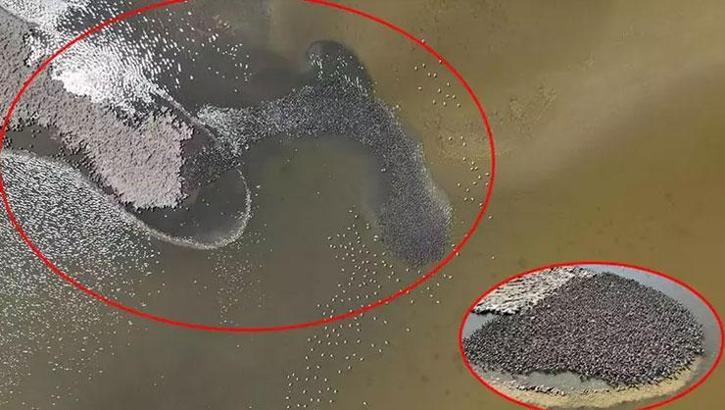 İzmir'de göreni şaşkına çeviren manzara