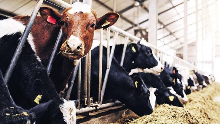 Tarım ve hayvancılık 'savunma' kadar kritik