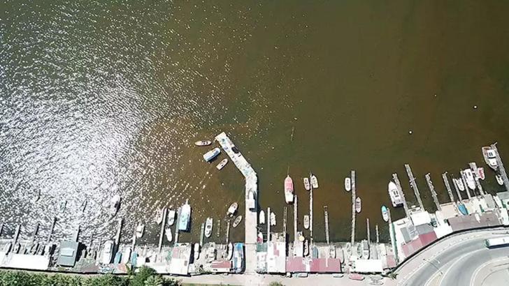 Marmara Denizi için alarm çalıyor! Deniz suyu kahverengiye döndü