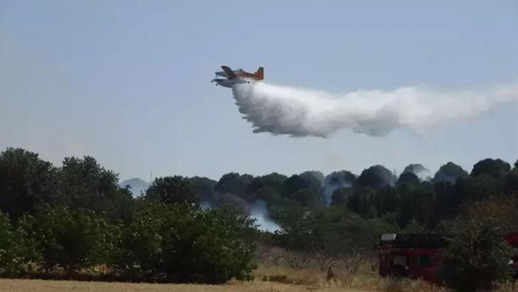 Balıkesir ve Çanakkale'de orman yangını