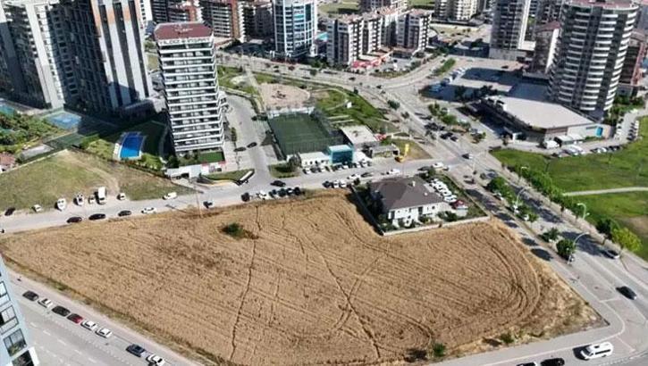 Tarlanın fiyatı dudak uçuklattı! Gökdelen ve rezidansların ortasında kalıyor