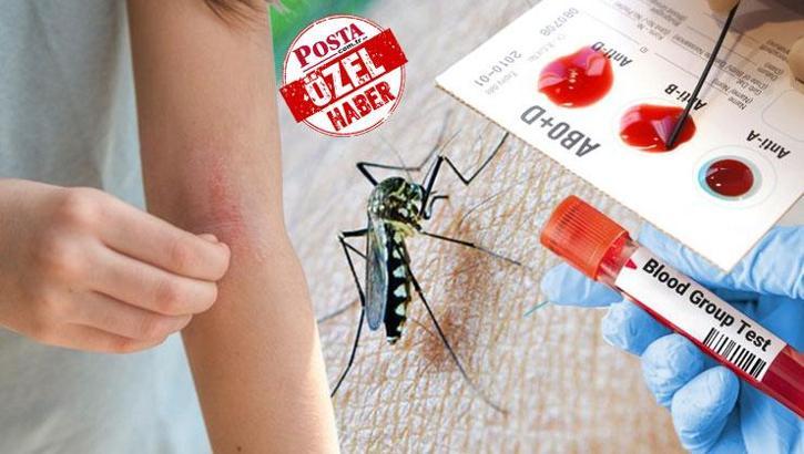 Kan grubunuz sivrisinekleri çekiyor! 24 saatten fazla süren ateş ciddiye alınmalı