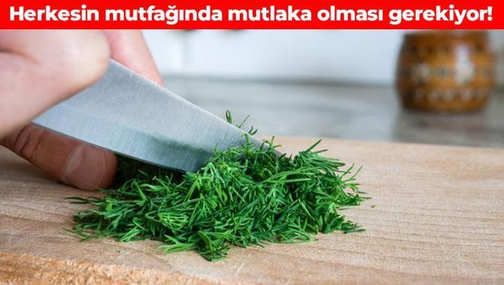 Hücre hasarını önlüyor, kemik yoğunluğunu artırıyor! Solunum yollarını hortum gibi temizliyor