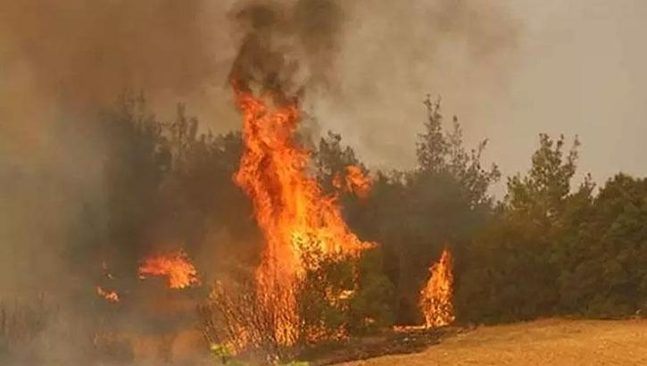 Orman yangınları ile mücadelede son durum! Biri sönerken diğeri başlıyor