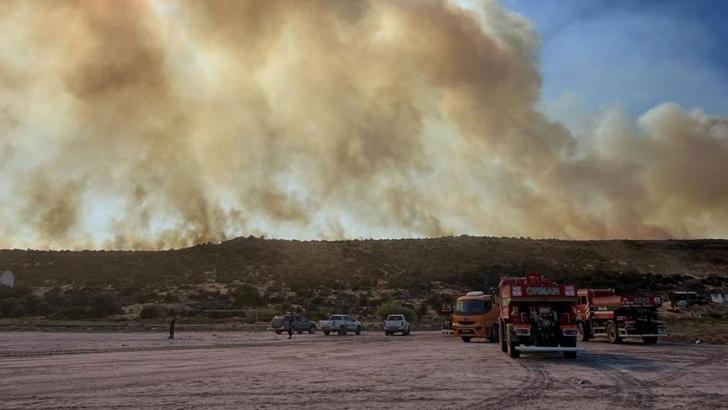 Bakan İbrahim Yumaklı'dan Çeşme yangını açıklaması