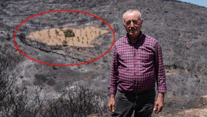 Ödemiş'teki yangında bir tek Ahmet Türk'ün arsası yanmadı! İşte şaşırtan görüntünün nedeni