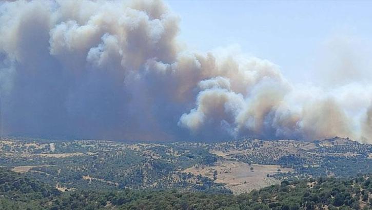 Çanakkale Ayvacık'ta orman yangını: Boşaltılan köy sayısı 3'e çıktı