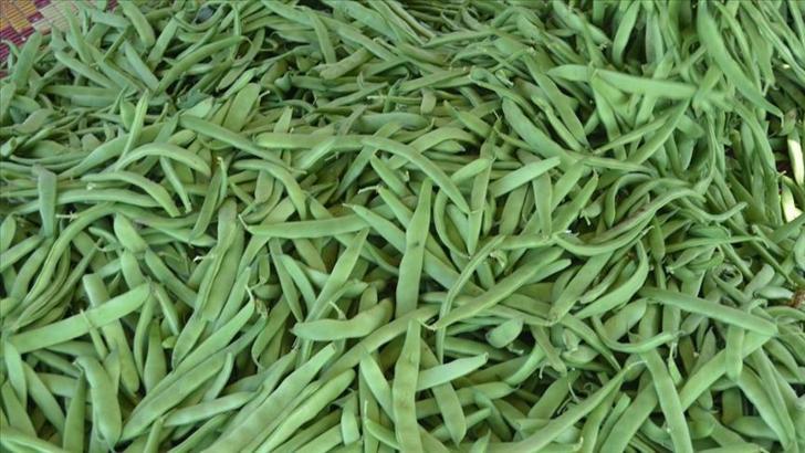 Yaz sofralarının vazgeçilmezi! Zeytinyağıyla yapınca lezzeti 10 kat artıyor