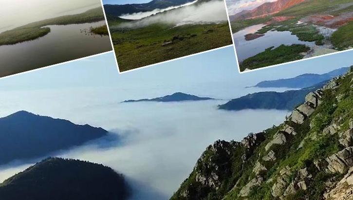 Göldeki yüzen adalar hava durumunu önceden söylüyor: Geleneksel meteorolojik tahmin