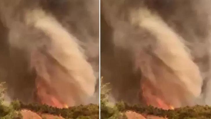Sakarya ve Bilecik'te orman yangını! Alevlerden hortum oluştu